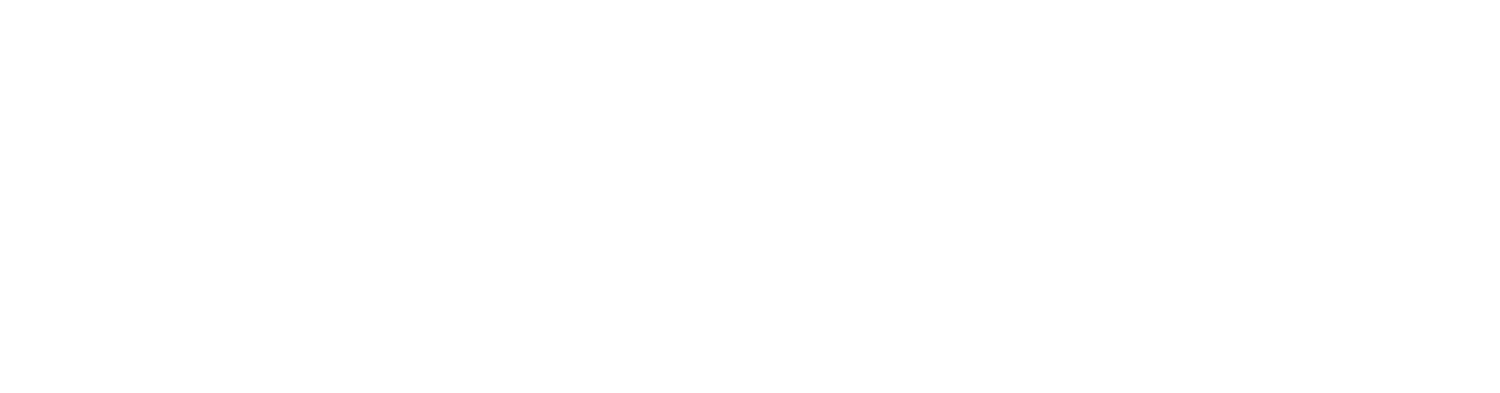 BRAVO SIERRA: Customer Support logo
